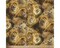 Lions Cotton Fabric | By the Yard | Sewing and Crafting | 44 inches wide